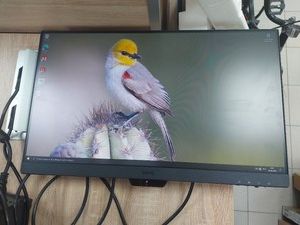Б/у Монитор Benq gw2490e 01-201140185