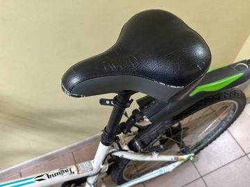 01-200582231: Gt laguna