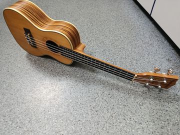 Б/у Укулеле Parksons uk24z 01-200834254