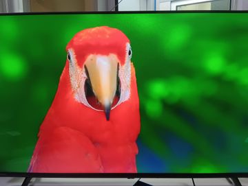 Б/в Телевізор Hisense 43a6n 01-200875806