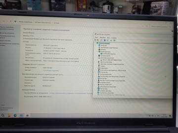 Б/в Ноутбук Asus 15/core i3-n305 ddr5/8gb ddr4/hdd *відсутній/ssd 512 gb/*інтегрована 01-200968007