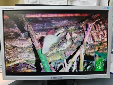 Б/у Монитор Samsung 920nw 01-201078734