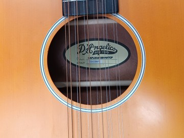 Б/у Гитара D'angelico premier fulton ls 12-string 01-201183573