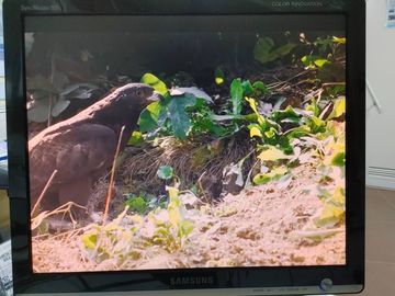 01-200600793: Samsung 931c