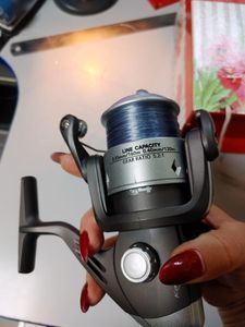 01-200795753: Kalipso reiz 404fd