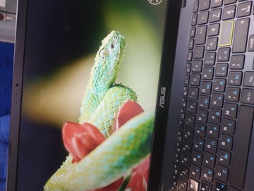 Б/у Ноутбук Asus 15/celeron n4500 ddr4/4gb ddr4/ssd 128 gb/*інтегрована 01-200930703