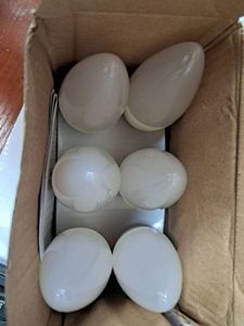 16-000245104: Led led