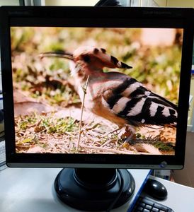 01-200600793: Samsung 931c