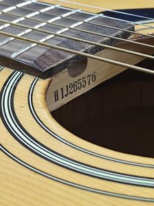 01-200601291: Yamaha f 310