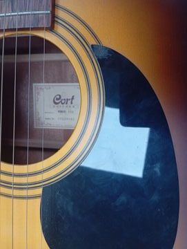 01-200790604: Cort ad810 ssb