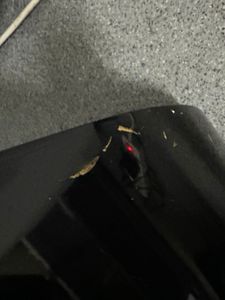 Б/в Гітара Fender cd-60 nat 01-200802986