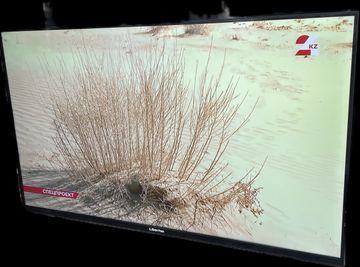 Б/у Телевизор Liberton ltv-43u02gt 01-200889590