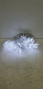 16-000229009: Ayacola x001