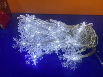 16-000243467: Ayacola x001