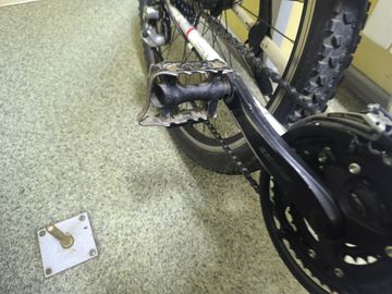 01-200795317: Bulls wild one 3 26"