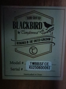 Б/у Электроакустическая гитара Tanglewood twbb sf ce 01-200927088
