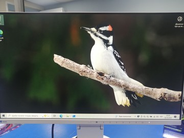 Б/у Монитор Eizo flexscan ev2450 01-201164944
