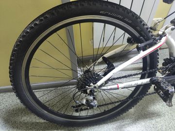 01-200795317: Bulls wild one 3 26"