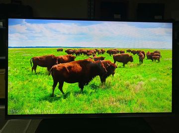 01-200794955: Liberton ltv-32h03at