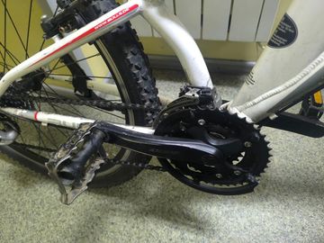 01-200795317: Bulls wild one 3 26"