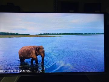 01-200794955: Liberton ltv-32h03at