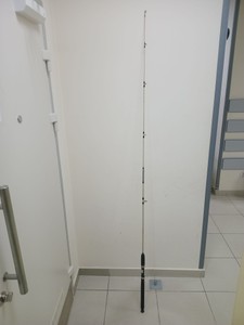 Б/в Спінінг Rico marina 100-300g 01-200963273