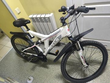 01-200795317: Bulls wild one 3 26"