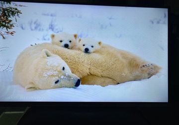 01-200794955: Liberton ltv-32h03at