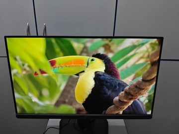 Б/в Монітор Asus rog strix xg259cs 01-201031535