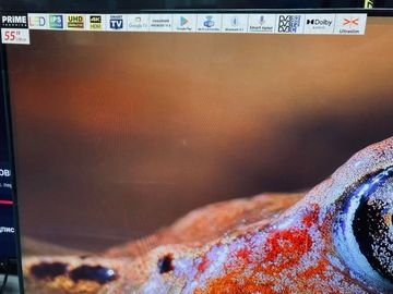 01-200556715: Prime Technics pt 55u14sg11fr