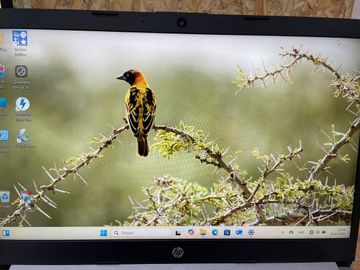 01-200529344: Hp pavilion x360 14-ek0013dx