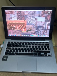 Apple 13.3''/intel core 2 duo 2.4ghz/ram 8gb/hdd750/geforce 320m