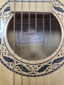 Б/в Гітара Trembita l-19 01-201158436