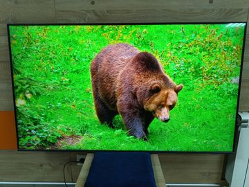 Б/в Телевізор Samsung ue55cu8500 01-200884500