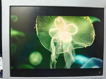 Б/в Монітор Samsung 152v p 01-200948969