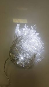 16-000209118: Ayacola x001