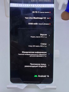 Б/в Мобільний телефон Vivo x100s 12/256gb 01-201026521