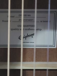 01-200743252: Epiphone dr-100 na