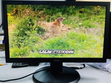 Б/в Монітор Iiyama prolite e2083hsd 01-200818751