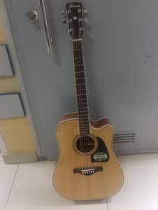 Ibanez aw70ece