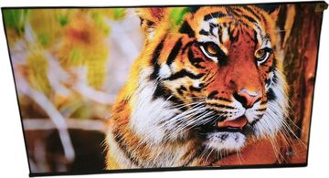 Б/в Телевізор Hisense 50a6q 01-200878422