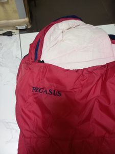 01-200589746: Open Air pegasus