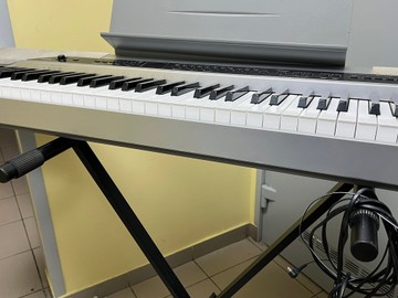 Б/в Піаніно цифрове Casio px-310 01-200968502