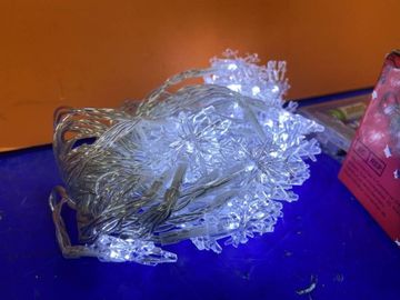 16-000208889: Ayacola x001