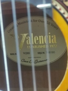 Б/в Класична гітара Valencia vc202 01-201032054