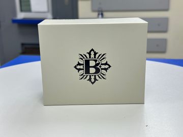 Б/в Тату машинка Wand Packer bishop 4.2 01-200892188