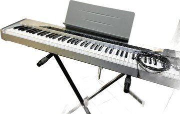 Casio px-310