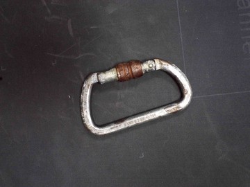 Б/в Альпініське спорядження (карабін) First Ascent worker keylock 01-201150941