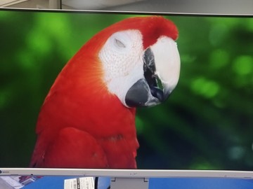 Б/в Монітор Eizo ev2460-bk 01-201164941