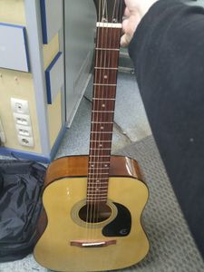 01-200743252: Epiphone dr-100 na